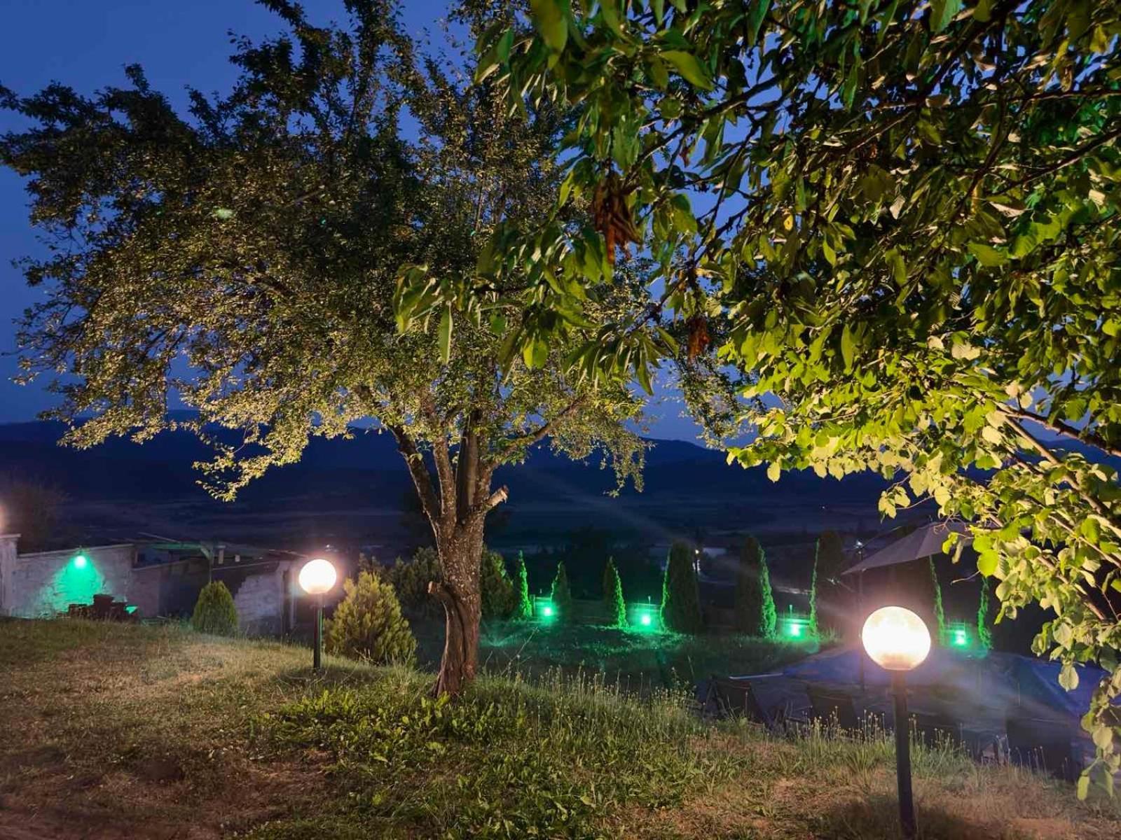 Villa Monte Velingrad Dış mekan fotoğraf